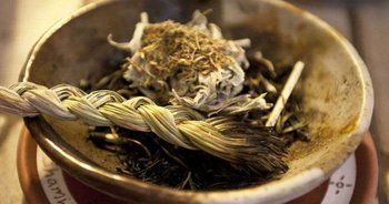 Picture of Sweet Grass Picture of Sweet Grass